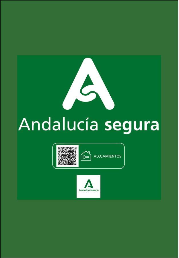 Holidays2Malaga Soho Penthouse Экстерьер фото